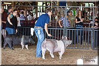 LCFAIR17-3772.jpg