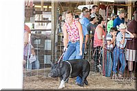 LCFAIR17-3774.jpg