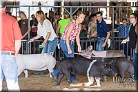 LCFAIR17-3778.jpg