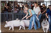 LCFAIR17-3779.jpg