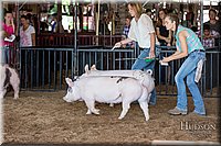 LCFAIR17-3780.jpg