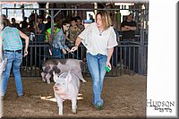 LCFAIR17-3782.jpg