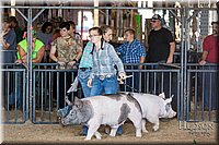 LCFAIR17-3783.jpg