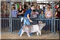 LCFAIR17-3784.jpg