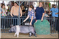 LCFAIR17-3897.jpg