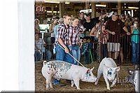 LCFAIR17-3898.jpg