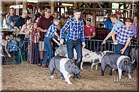 LCFAIR17-3899.jpg