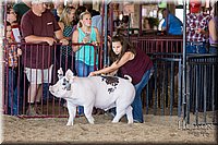 LCFAIR17-3900.jpg