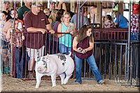 LCFAIR17-3901.jpg