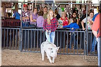 LCFAIR17-3903.jpg