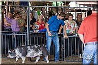 LCFAIR17-3909.jpg