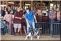 LCFAIR17-3911.jpg