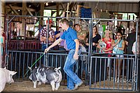 LCFAIR17-3913.jpg
