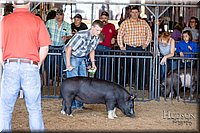 LCFAIR17-3914.jpg