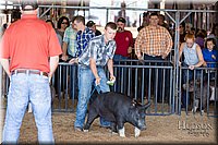 LCFAIR17-3915.jpg