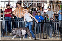 LCFAIR17-3916.jpg