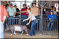 LCFAIR17-3918.jpg