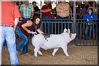 LCFAIR17-3919.jpg