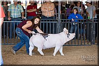 LCFAIR17-3920.jpg