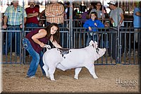 LCFAIR17-3921.jpg