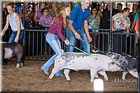LCFAIR17-3923.jpg