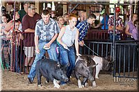 LCFAIR17-3924.jpg