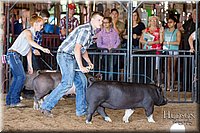 LCFAIR17-3925.jpg