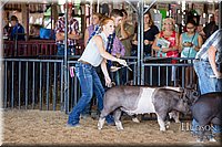 LCFAIR17-3926.jpg