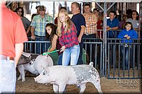 LCFAIR17-3927.jpg