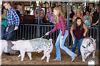 LCFAIR17-3929.jpg