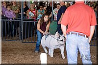 LCFAIR17-3930.jpg
