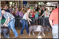 LCFAIR17-3934.jpg
