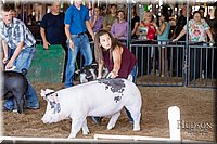 LCFAIR17-3935.jpg