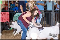LCFAIR17-3938.jpg