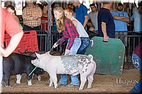 LCFAIR17-3939.jpg