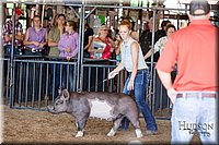 LCFAIR17-3941.jpg
