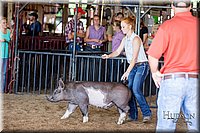 LCFAIR17-3942.jpg