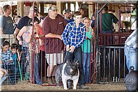 LCFAIR17-3944.jpg