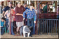 LCFAIR17-3945.jpg