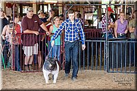 LCFAIR17-3946.jpg