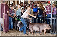 LCFAIR17-3948.jpg