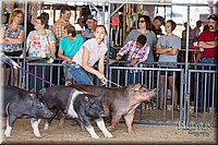 LCFAIR17-3950.jpg