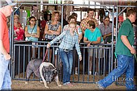 LCFAIR17-3952.jpg