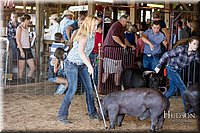 LCFAIR17-3955.jpg
