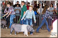 LCFAIR17-3956.jpg