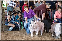 LCFAIR17-3961.jpg
