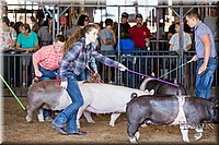LCFAIR17-3962.jpg