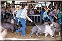 LCFAIR17-3963.jpg