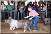 LCFAIR17-3964.jpg