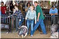 LCFAIR17-3965.jpg